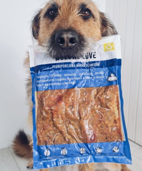 ranking mokrej karmy dla szczeniaków